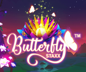 butterfly-staxx